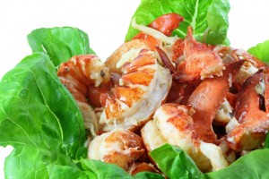 lobstersalad lobstersalad