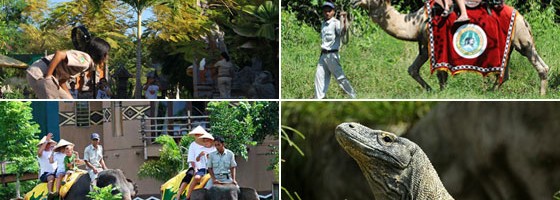 bali-safari-marine-park