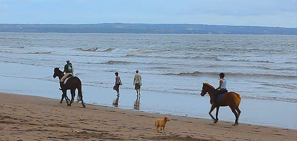 horseback-riding horseback-riding
